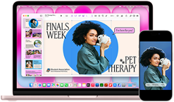 MacBook Neo, blush colour, next to iPhone, MacBook Neo screen shows presentation titled Finals Week Pet Therapy with photo of a person holding a rabbit, iPhone screen shows same photo, which has been turned into a sticker to use in presentation